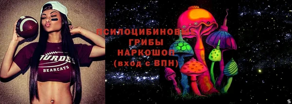 винт Алексеевка