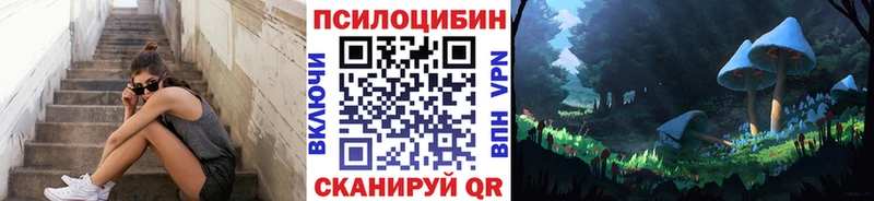 где можно купить наркотик  Чердынь  omg ТОР  Псилоцибиновые грибы Psilocybine cubensis 